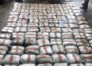 Zaplijenjeno 300 kg. droge, uhapšen i Sandžaklija