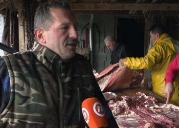 (VIDEO): Bosanska televizija snimila priču o ovčijoj stelji u Rasnu na Pešteri