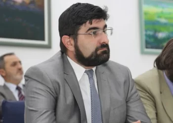Fehratović: Lista Muftijin amanet ima jaku podršku dijaspore
