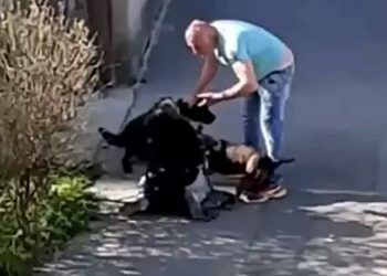 (VIDEO) UZNEMIRUJUĆE: Muškarac šutira ženu i psa