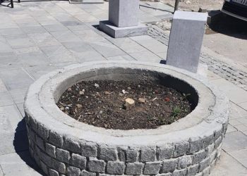 Vandalizam u Tutinu: Posječeno drvo na gradskom trgu