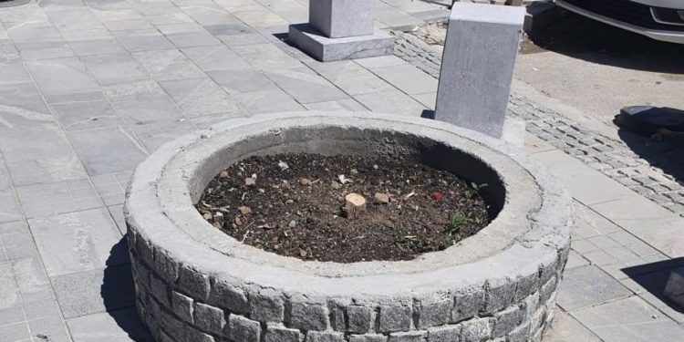 Vandalizam u Tutinu: Posječeno drvo na gradskom trgu