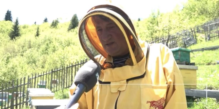 (VIDEO) Dugogodišnji tutinski pčelar Faruk Ćorović o značaju pčela
