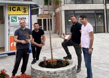 Članovi Asocijacije mladih SDA zasadili cvijeće na tutinskom trgu