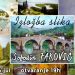 Izložba tutinskog slikara Sefedina Fakovića u Sevojnu