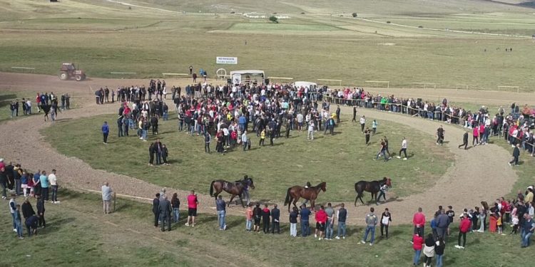 Na hipodromu Sandžak organiziran drugi memorijal “Hasib Škrijelj”
