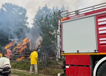 Požar na Pešteri, gorjela sijena