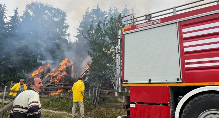 Požar na Pešteri, gorjela sijena