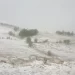 Nevrijeme sa gradom pogodilo Pešter: Zabijelio se kao u decembru