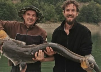 Pazarci Elvir i Adem na ribarićkom jezeru upecali soma grdosiju, borba trajala sat i po