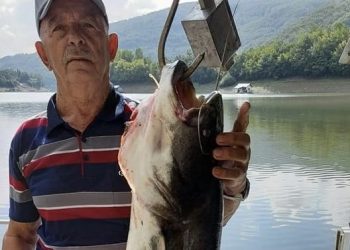 Ribolovac Ramo Berović iz Ribarića danas na jezeru Gazivode ulovio soma od 17 kg