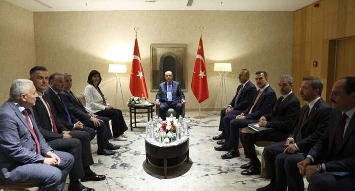 Erdogan sa Ljajićem, Ugljaninom, Curićkom, Hotom i Biševcem o Sandžaku i ulaganjima