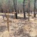 Ukrajina: Rusija mora odgovarati za masovna ubistva u Izjumu