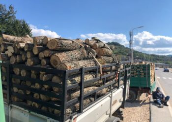 (VIDEO) Metar ogrijevnog drveta u Novom Pazaru i do 80 eura