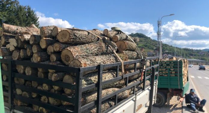 (VIDEO) Metar ogrijevnog drveta u Novom Pazaru i do 80 eura