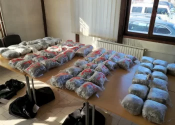 Bjelopoljac uhapšen u Novom Pazaru prenosio 70 kilograma marihuane