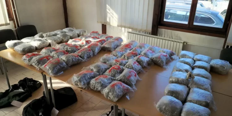 Bjelopoljac uhapšen u Novom Pazaru prenosio 70 kilograma marihuane