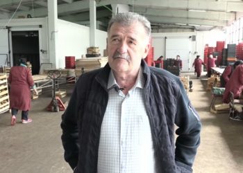 (VIDEO) Rožaje: Dobra godina za berače pečuraka, zarade i po 100 eura dnevno