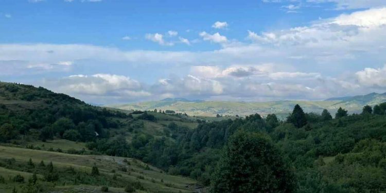 Pešterci ne dozvoljavaju sječu drveća na izletištu Dobrača kod Đerekara