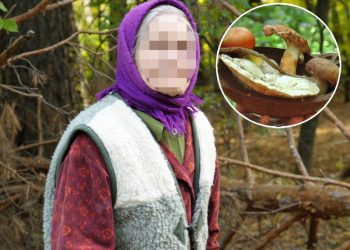 “Baka trovačica” brala pečurke od kojih se 10 osoba otrovalo – “Marija je čudna osoba”