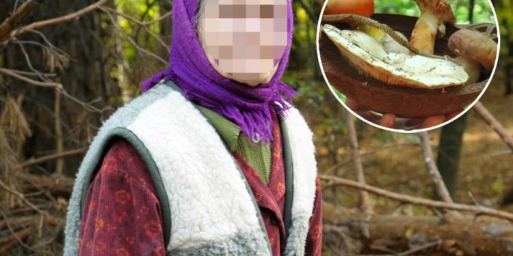 “Baka trovačica” brala pečurke od kojih se 10 osoba otrovalo – “Marija je čudna osoba”