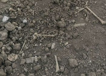 U Postenju pored puta pronađene ljudske kosti
