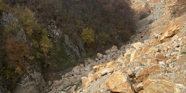 Kuda idu Vidrenjak i Tutin?