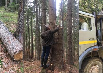 Mještani sela Peškovići kod Rožaja: Spriječiti devastaciju puta i krađu šume