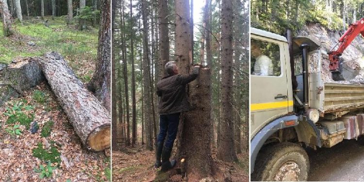 Mještani sela Peškovići kod Rožaja: Spriječiti devastaciju puta i krađu šume