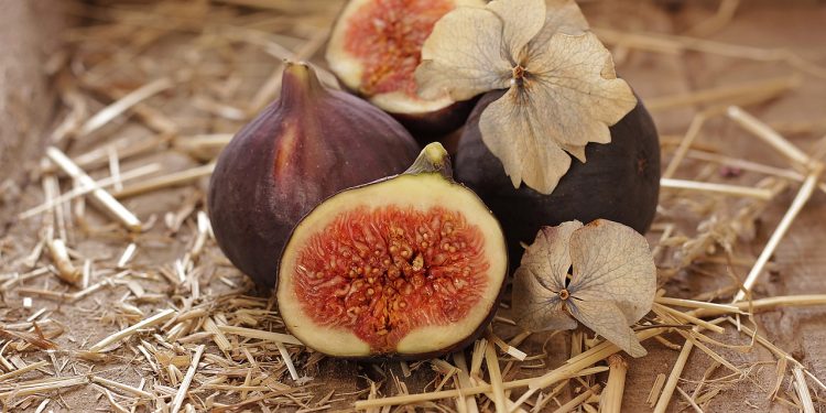 Znate li da smokve nisu ni voće ni povrće?