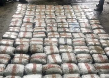 U selu Saš kod Tutina pronađeno 100 kg marihuane