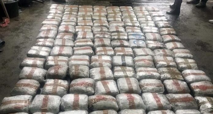 U selu Saš kod Tutina pronađeno 100 kg marihuane