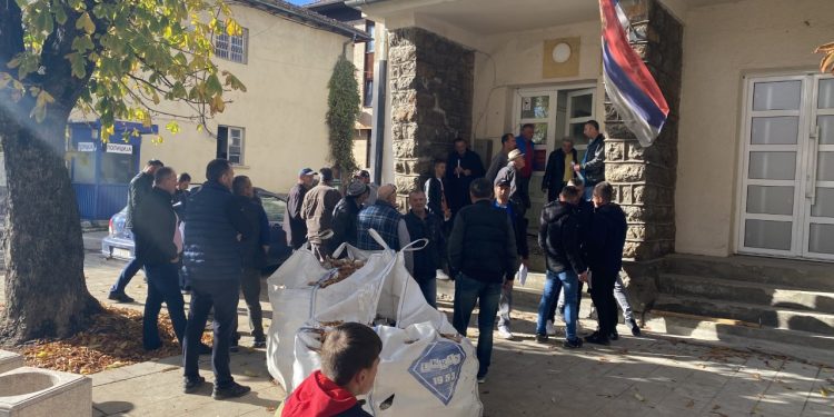 Velika zainteresovanost tutinskih farmera za pomoć koju im država daje u kukuruzu