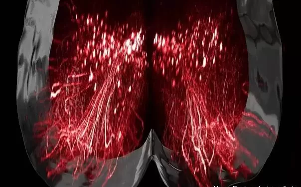 (VIDEO) Nova otrkrića u medicini-PARALISANI ljudi PONOVO PROHODALI nakon stimulacije nerava!