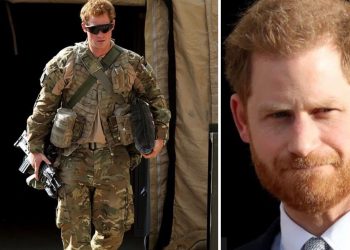 Reakcija talibana na izajavu britanskog princa Harija: Ono što ste ubili nisu bile šahovske figure