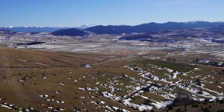(FOTO) Priroda i Pešterska visoravan: Prolećni pogled na neobično toplo vrijeme na balkanskom Sibiru“